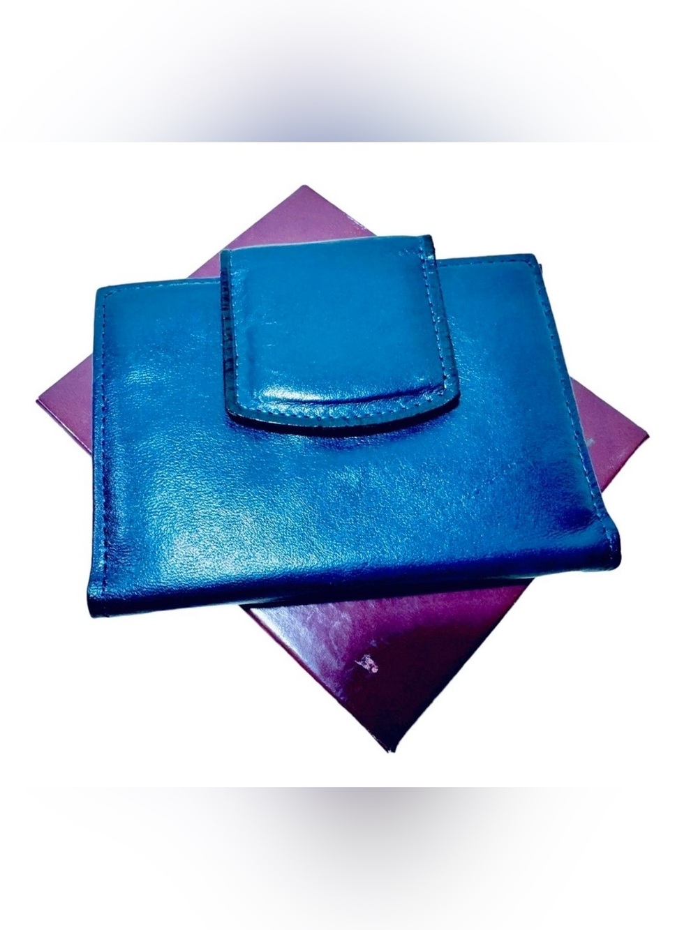 Princess Gardner Vinage Spectrum Navy Full Grain Leather Credit Card Case New